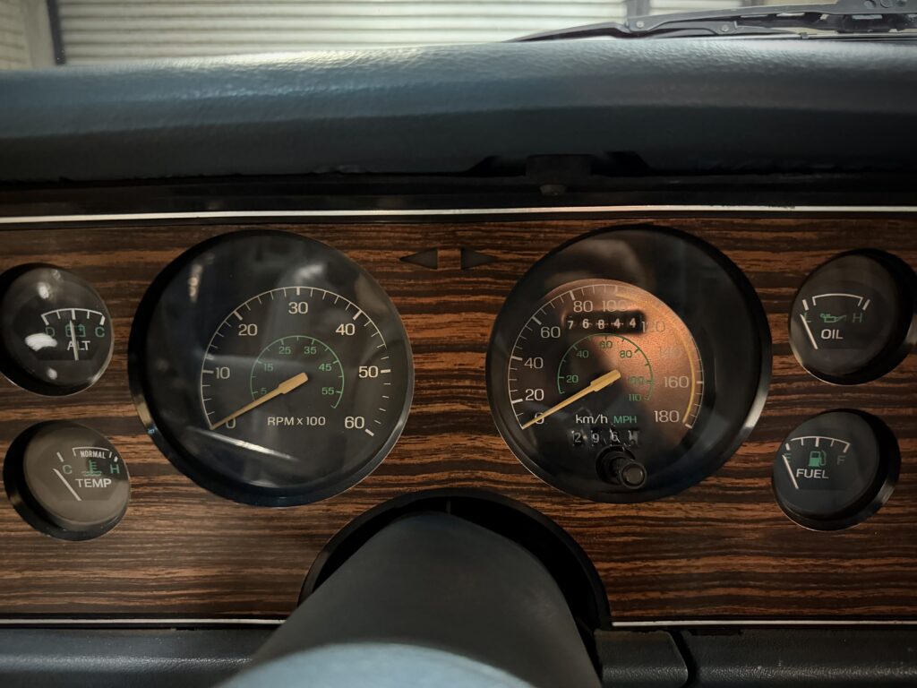 1981 Ford Mustang